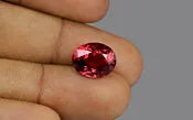 Red Spinel 12X10 MM - 6.55 Carat / 10.8075 Ratti