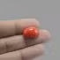 Red Coral - 5.91 Carat / 9.7515 Ratti