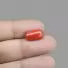 Red Coral - 7.15 Carat / 11.7975 Ratti