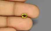 Greenish Yellow Tourmaline - 0.62 Carat / 1.023 Ratti