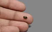 Green Tourmaline - 0.48 Carat / 0.792 Ratti