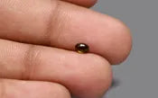 Brownish Green Tourmaline - 0.27 Carat / 0.4455 Ratti