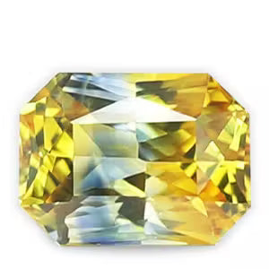 Pitambari/Neelambari (पीताम्बरी)