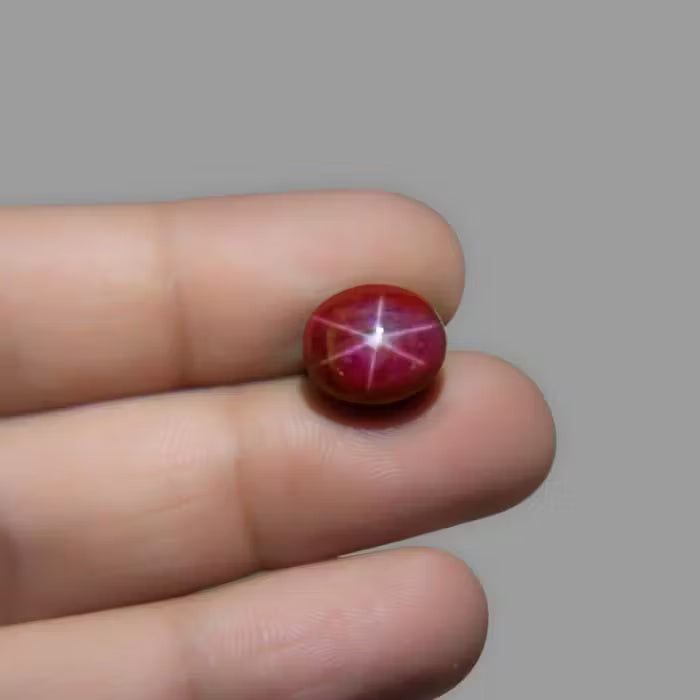 Star Ruby - 9.06 Carat / 14.949 Ratti