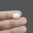 White Coral - 4.45 Carat / 7.3425 Ratti