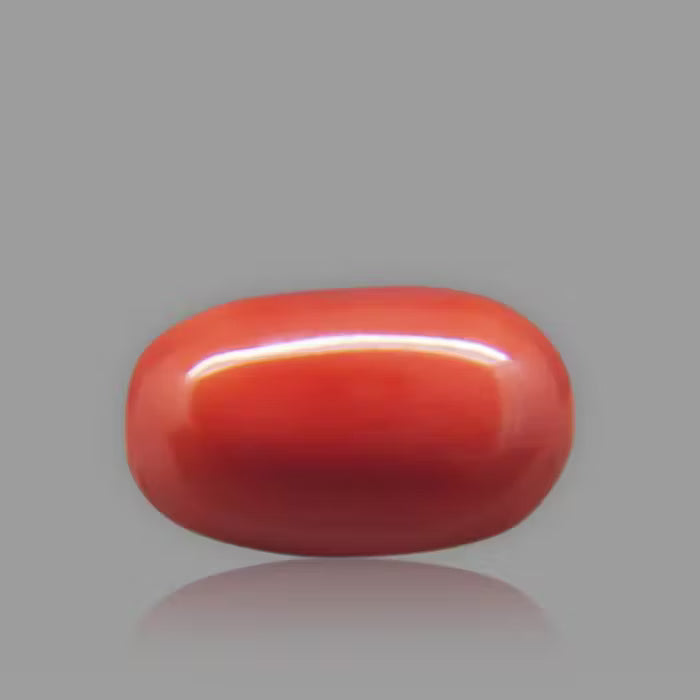 Red Coral - 6.69 Carat / 11.0385 Ratti