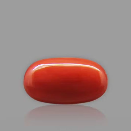Red Coral - 7.08 Carat / 11.682 Ratti