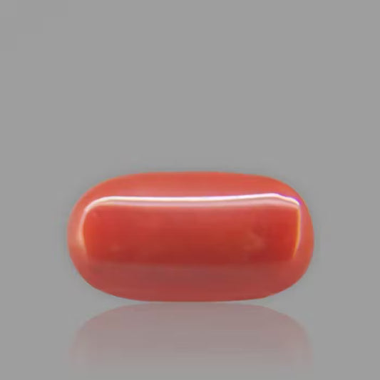 Red Coral - 7.15 Carat / 11.7975 Ratti