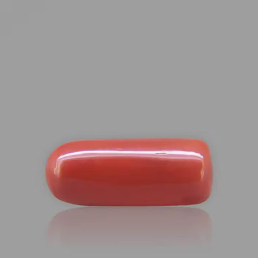 Red Coral - 7.11 Carat / 11.7315 Ratti
