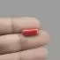 Red Coral - 7.11 Carat / 11.7315 Ratti