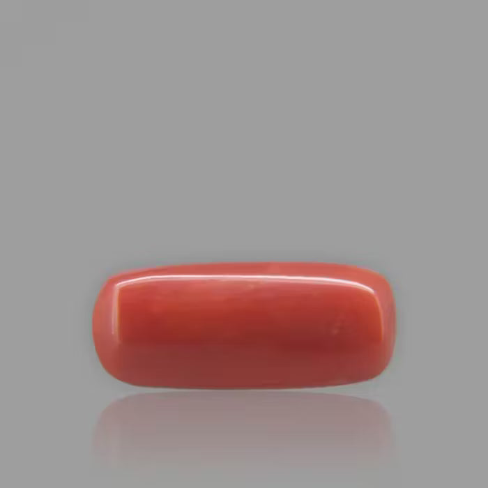 Red Coral - 6.91 Carat / 11.4015 Ratti