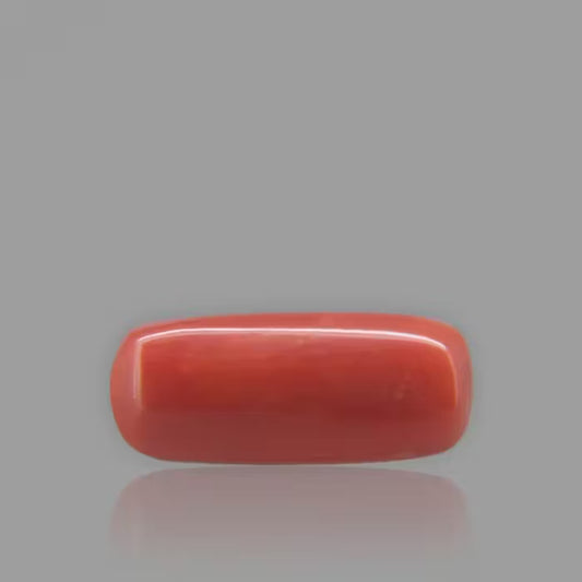 Red Coral - 6.91 Carat / 11.4015 Ratti