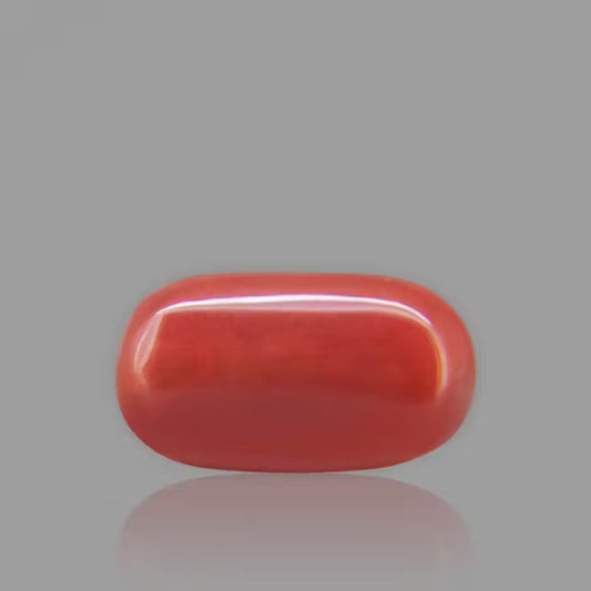 Red Coral - 6.68 Carat / 11.022 Ratti