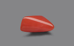 Red Coral - 5.91 Carat / 9.7515 Ratti