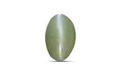 Chrysoberyl Cat's Eye 5x3 MM - 0.50 Carat / 0.825 Ratti