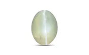 Chrysoberyl Cat's Eye - 0.51 Carat / 0.8415 Ratti