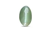 Chrysoberyl Cat's Eye - 0.49 Carat / 0.8085 Ratti