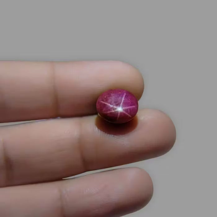Star Ruby - 12.66 Carat / 20.889 Ratti