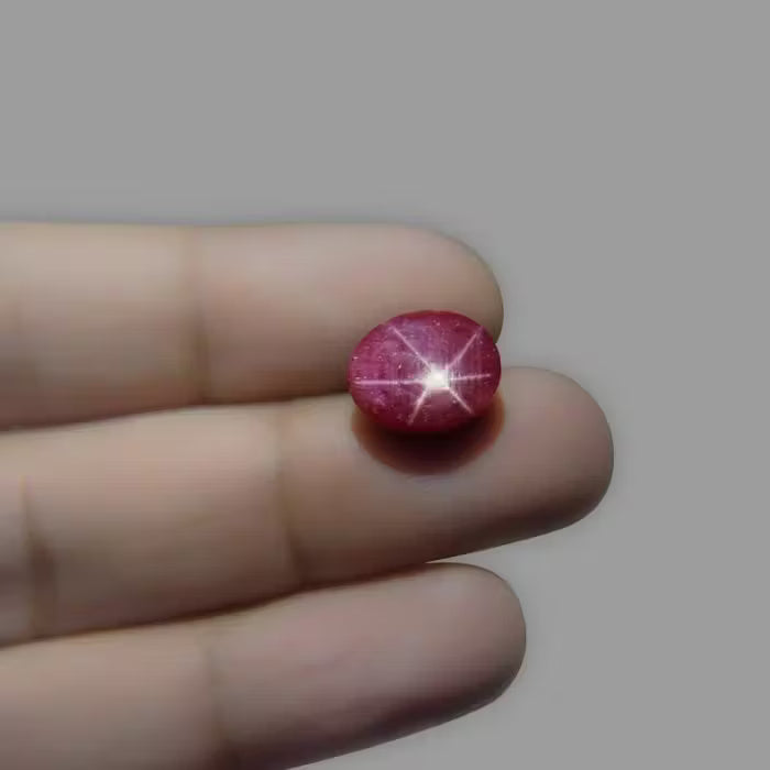 Star Ruby - 9.86 Carat / 16.269 Ratti